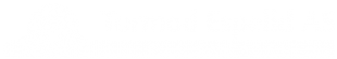 logo byggmester tormod espelid